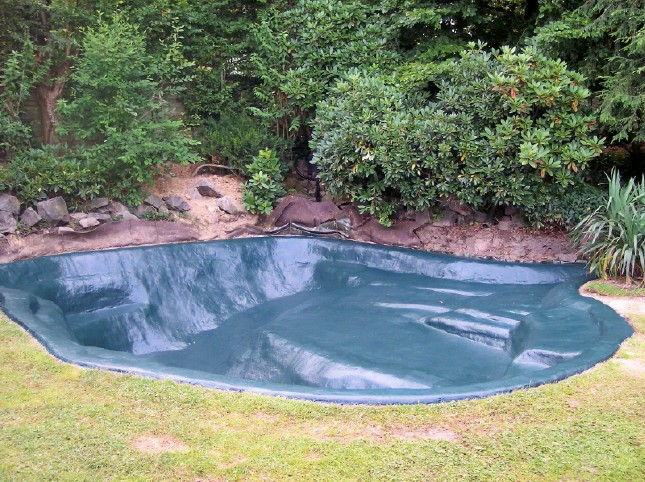 Teich, 7m x 8m Ausführung.